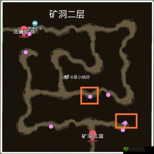 小森生活甲虫性格的最佳选择指南 实用攻略全解析