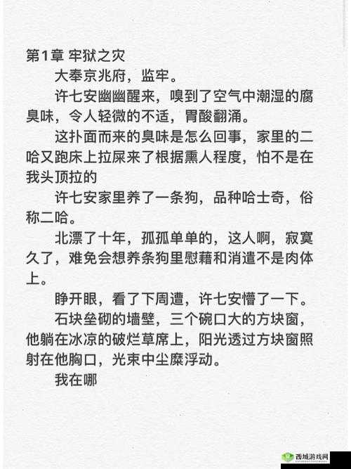 大奉打更人插花弄玉的传奇身世