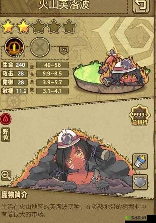 牧羊人之心教徒斗篷属性图鉴：全面解析