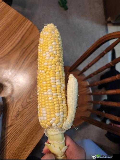 丝瓜草莓秋葵榴莲是什么？